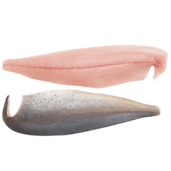 Prime Wild-Caught Mahi Mahi (Dorado) Fillets | Price per kilo - AguaSalada.US