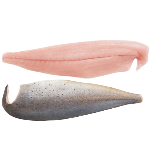 Prime Wild-Caught Mahi Mahi (Dorado) Fillets | Price per kilo - AguaSalada.US