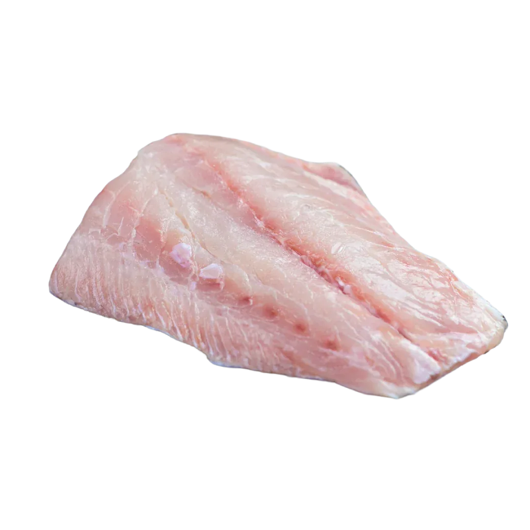 Prime Wild-Caught Grouper Fillets (Mero), IQF / Vacuum Packed | Price per kilo - AguaSalada.US