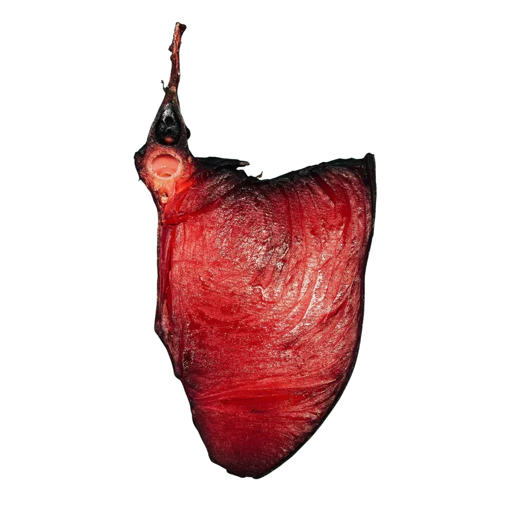 Grader's Reserve Yellowfin Tuna Tomahawk | Price per kilo - AguaSalada.US