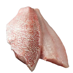 Prime Wild-Caught Red Snapper Fillets (Pargo), IQF / Vacuum Packed | Price per kilo - AguaSalada.US