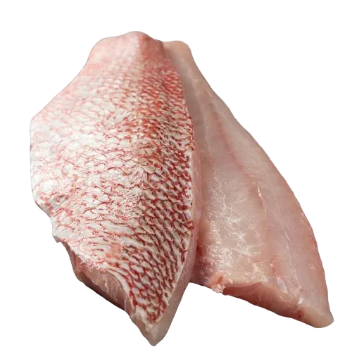 Prime Wild-Caught Red Snapper Fillets (Pargo), IQF / Vacuum Packed | Price per kilo - AguaSalada.US